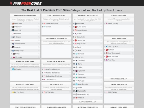 A Review Screenshot of Paid Porn Guide