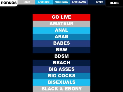 A Review Screenshot of Pornos.live