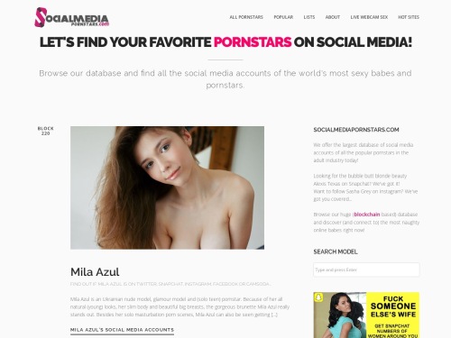 A Review Screenshot of SocialMediaPornstars