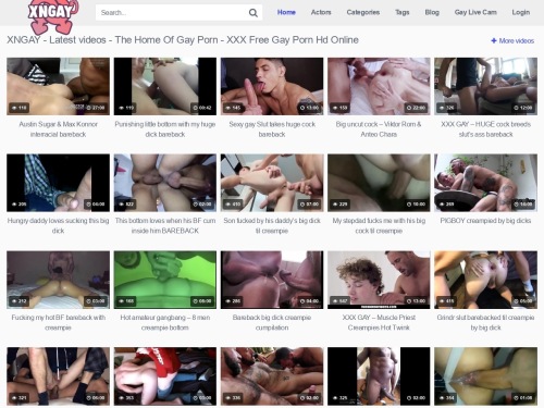 A Review Screenshot of XnGay