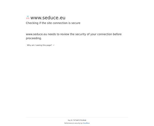 A Review Screenshot of Seduce.eu