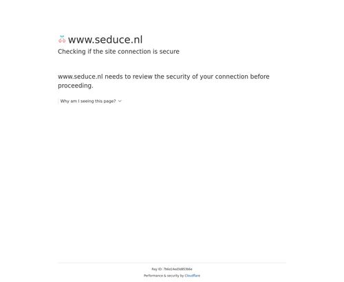A Review Screenshot of Seduce.nl