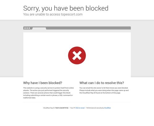 A Review Screenshot of Topescort.com