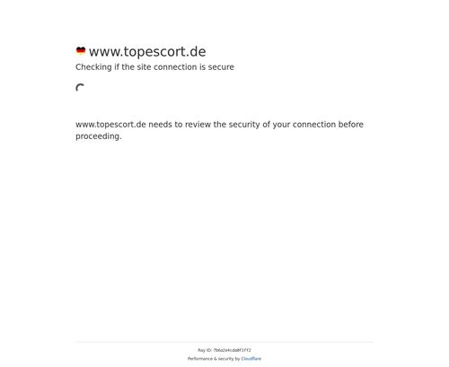 A Review Screenshot of Topescort.de