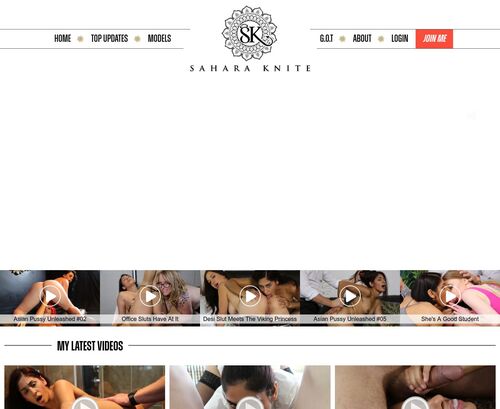 A Review Screenshot of SaharaKniteXXX