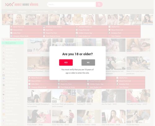 A Review Screenshot of Adult-home-videos