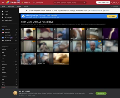 A Review Screenshot of StripChat Indian Men