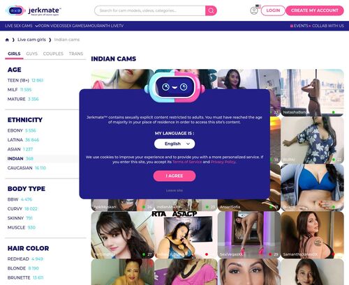 A Review Screenshot of Jerkmate Cams